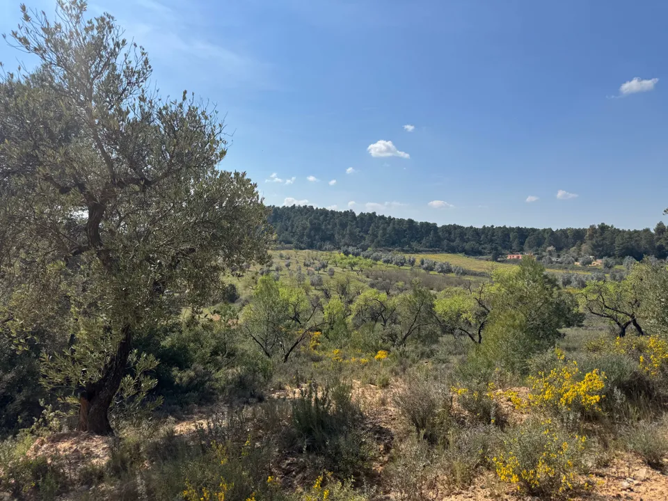Tomt i Cretas, Teruel - bilde 4
